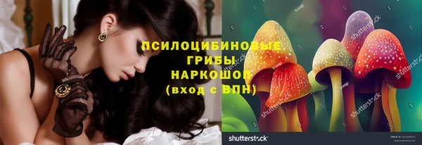 МДПВ Аркадак