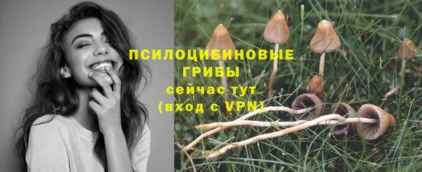 прущий лед Армянск