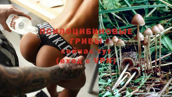 МДПВ Аркадак